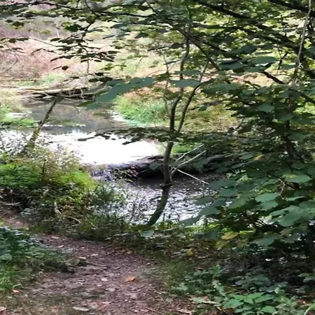 Ardennes For 21 Guests, Cleaning Included Coo